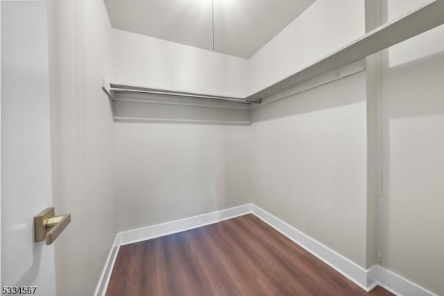 spacious closet with dark hardwood / wood-style floors