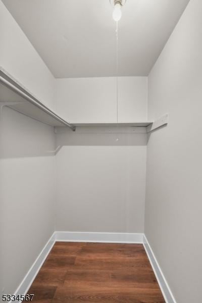 spacious closet featuring dark hardwood / wood-style floors