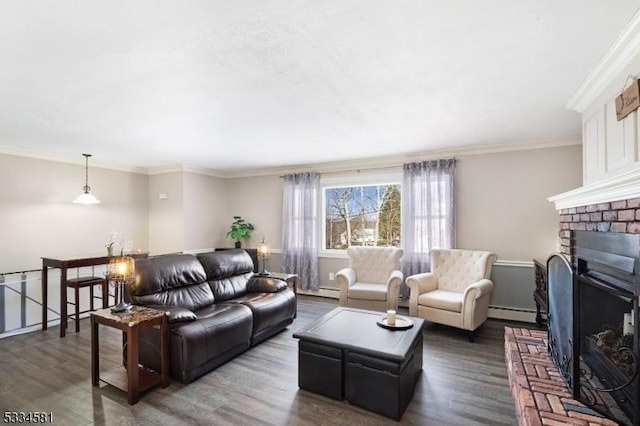 living room featuring crown molding, a fireplace, dark hardwood / wood-style flooring, and a baseboard heating unit