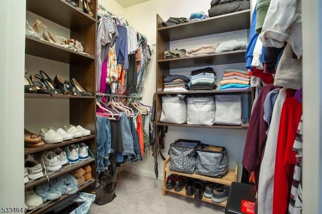 spacious closet with carpet floors