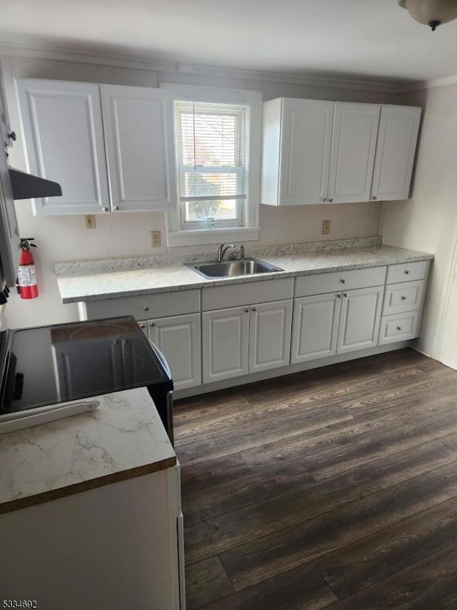 kitchen with white cabinetry, dark wood-type flooring, and sink