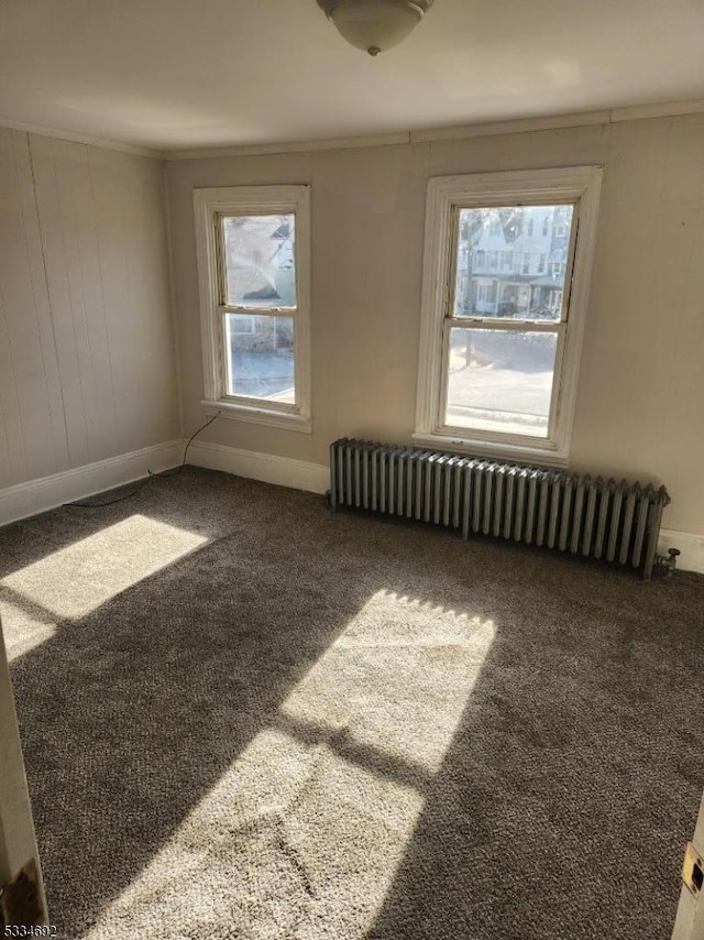 carpeted empty room featuring crown molding, plenty of natural light, and radiator heating unit