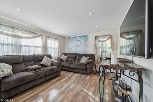 living room featuring wood-type flooring