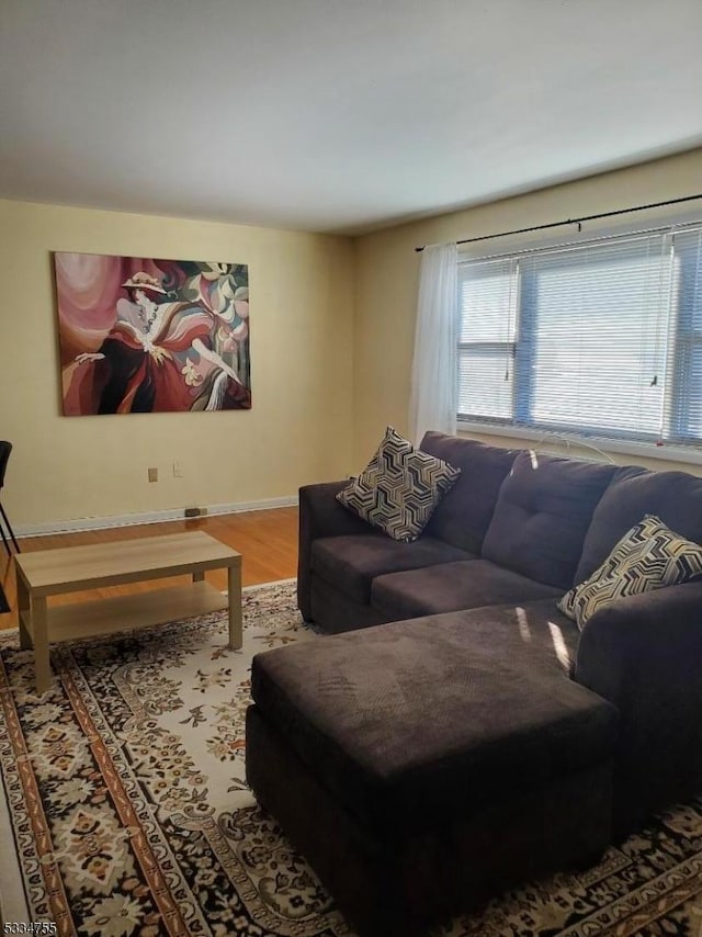 living room with wood-type flooring