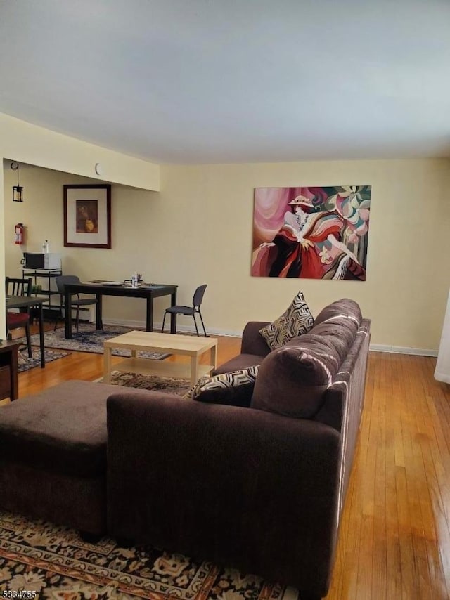 living room featuring wood-type flooring