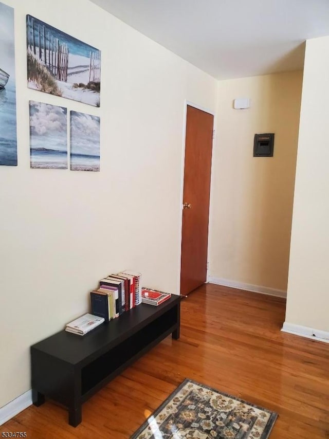 hall featuring wood-type flooring