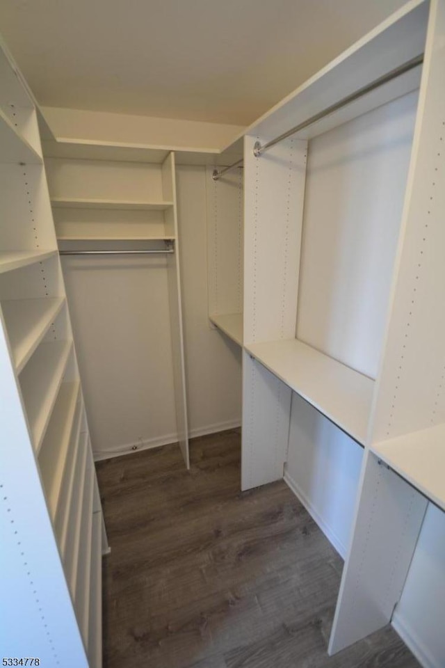 spacious closet featuring dark wood-type flooring