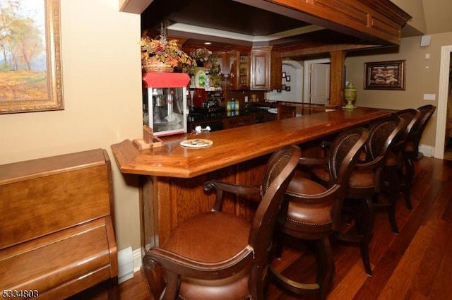 bar with dark wood-type flooring