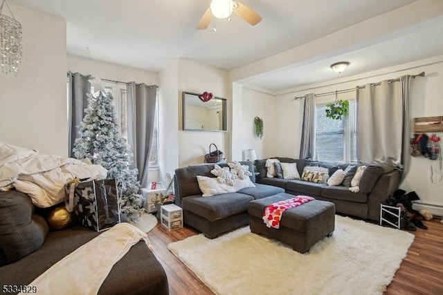 living room featuring dark hardwood / wood-style flooring, a baseboard radiator, and ceiling fan