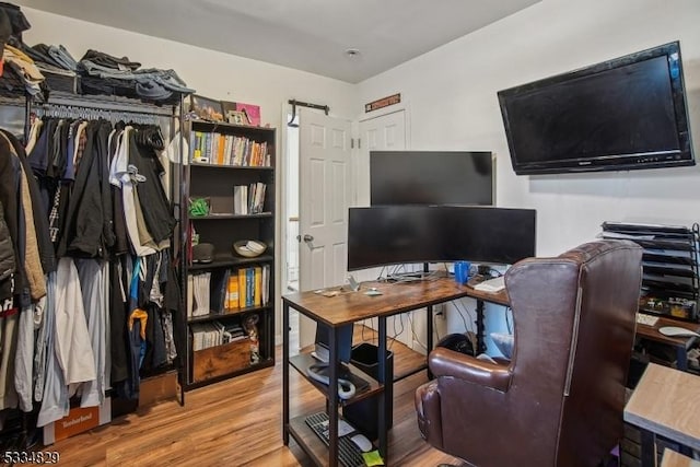 office featuring wood-type flooring