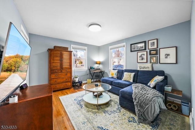 living room featuring light hardwood / wood-style flooring