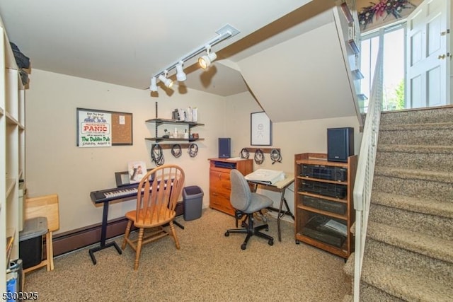 carpeted office with rail lighting