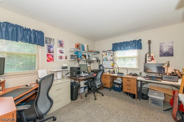 view of carpeted home office