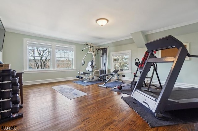 workout area featuring ornamental molding, a healthy amount of sunlight, and wood finished floors