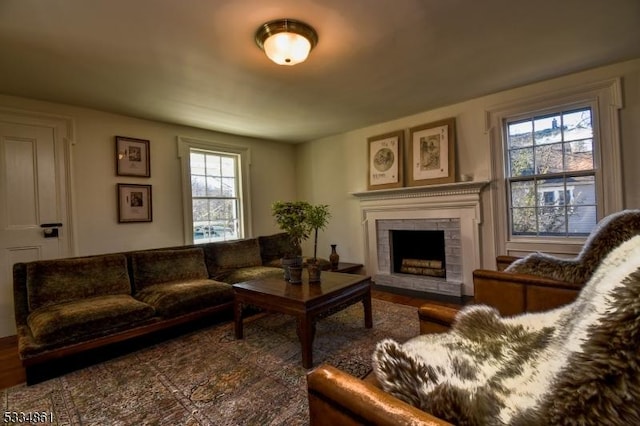 living room with a fireplace with raised hearth and wood finished floors