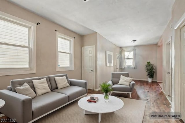 living room with wood-type flooring