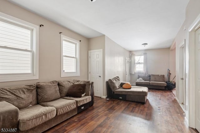 living room featuring dark hardwood / wood-style flooring