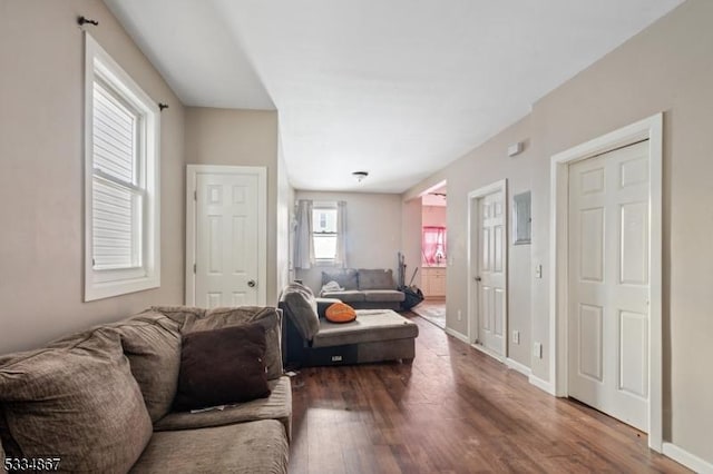 living room featuring dark hardwood / wood-style floors