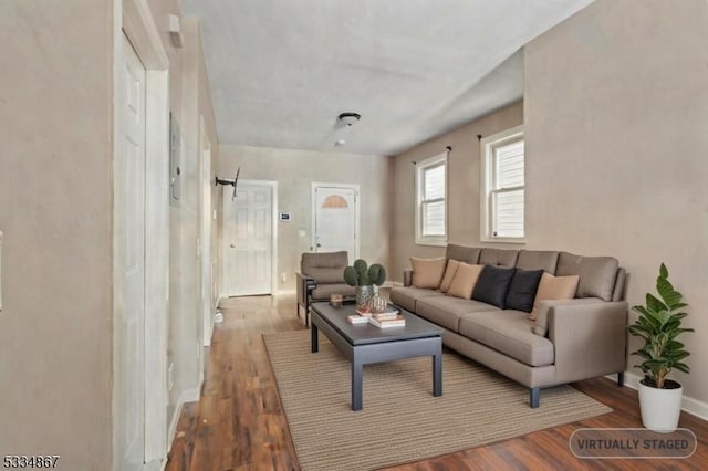 living room featuring wood-type flooring