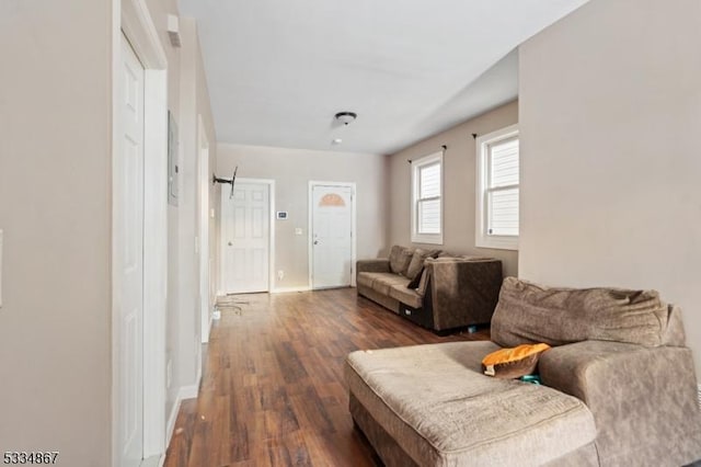 living room with dark hardwood / wood-style flooring