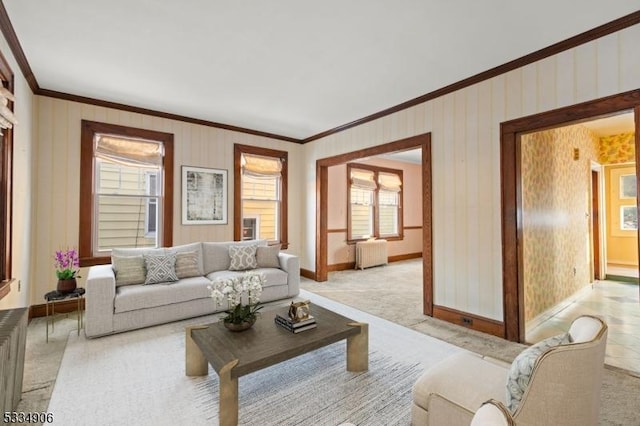 carpeted living room with radiator and crown molding