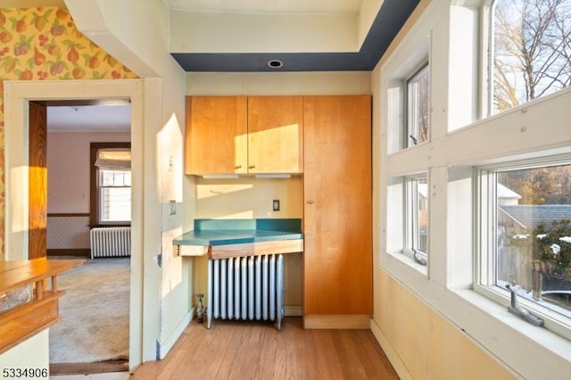 interior space featuring radiator and light hardwood / wood-style flooring