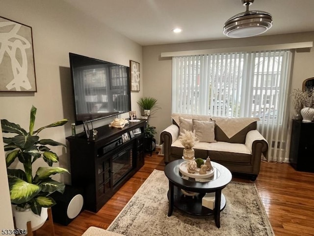 living room with hardwood / wood-style floors