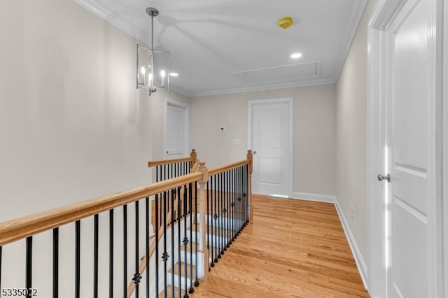 hall featuring hardwood / wood-style flooring and ornamental molding