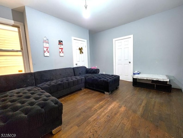 living room featuring dark wood-type flooring