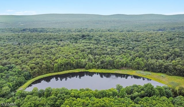 birds eye view of property with a wooded view and a water and mountain view