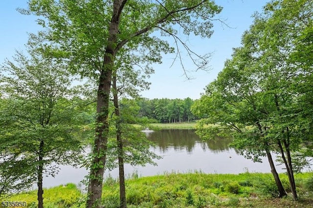 property view of water