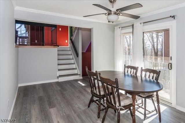 dining space featuring ceiling fan, wood finished floors, baseboards, stairway, and crown molding