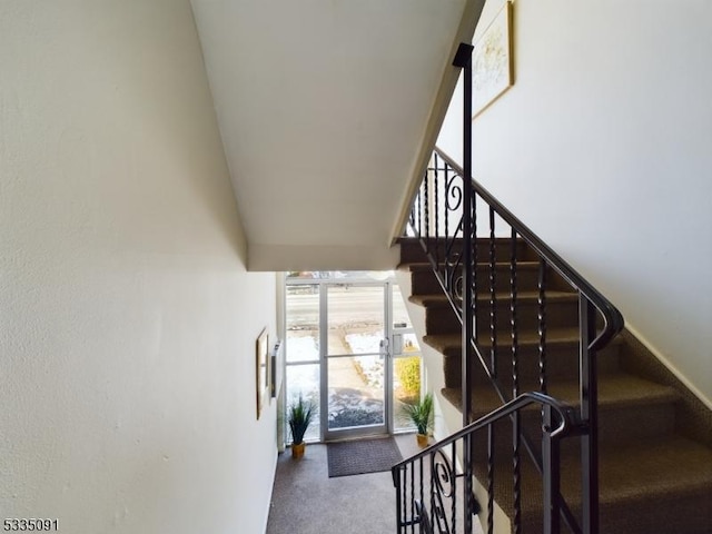 staircase with carpet flooring