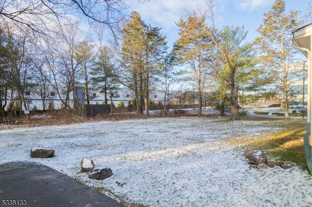 view of yard covered in snow