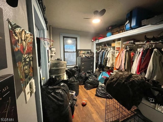 walk in closet featuring hardwood / wood-style floors