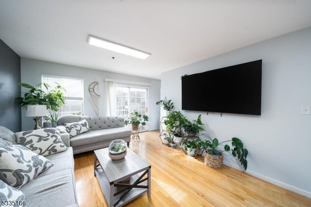 living room with hardwood / wood-style flooring