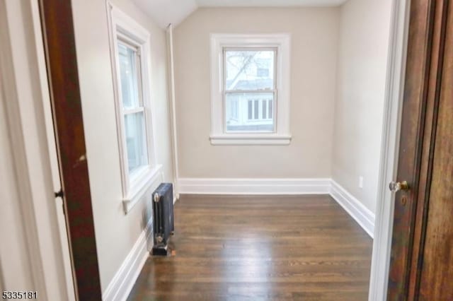 spare room with lofted ceiling, radiator, and dark wood-type flooring