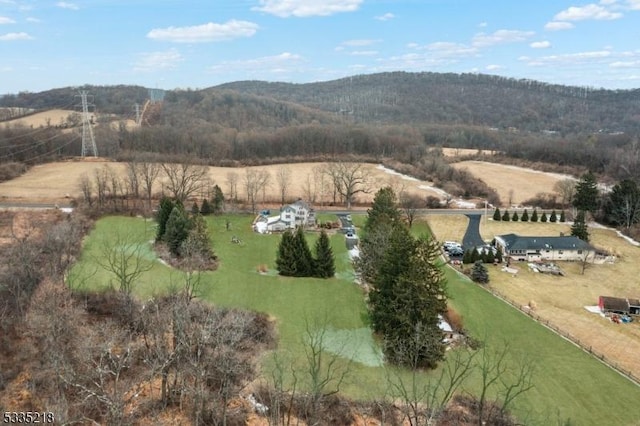 birds eye view of property featuring a mountain view and a rural view