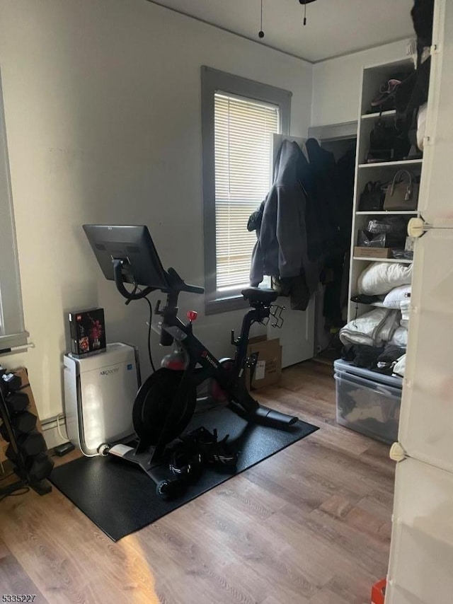 exercise room with wood-type flooring and a baseboard radiator