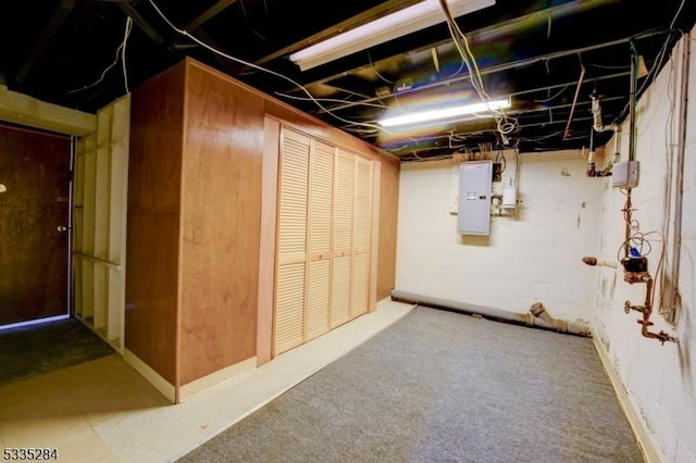 basement featuring electric panel