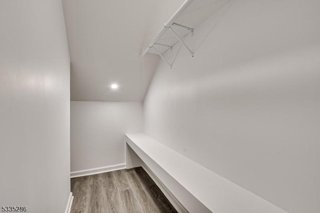 walk in closet with hardwood / wood-style floors