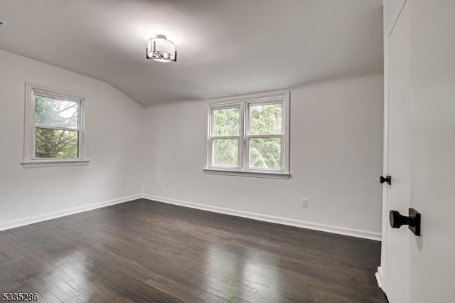 additional living space featuring lofted ceiling, a healthy amount of sunlight, and dark hardwood / wood-style flooring