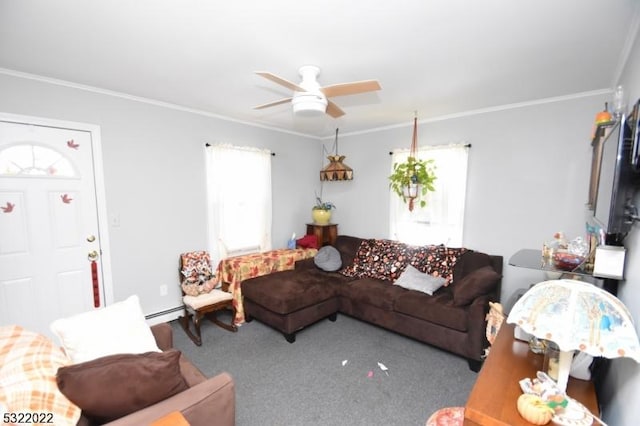 living room featuring crown molding, carpet floors, a baseboard radiator, and ceiling fan