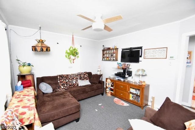 living room featuring ceiling fan, ornamental molding, and carpet