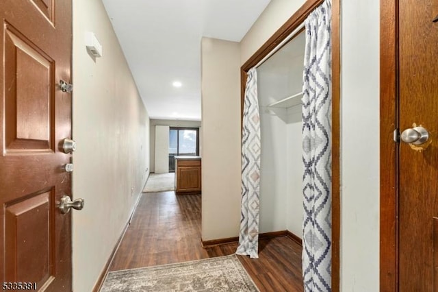 hallway featuring dark wood-type flooring