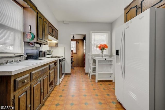 kitchen with dark brown cabinetry, sink, and white appliances