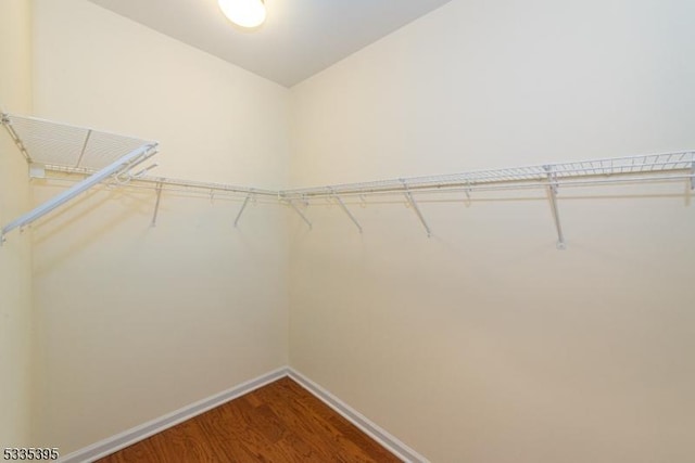 spacious closet with wood-type flooring