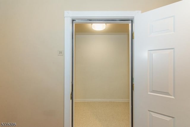 interior details with carpet flooring