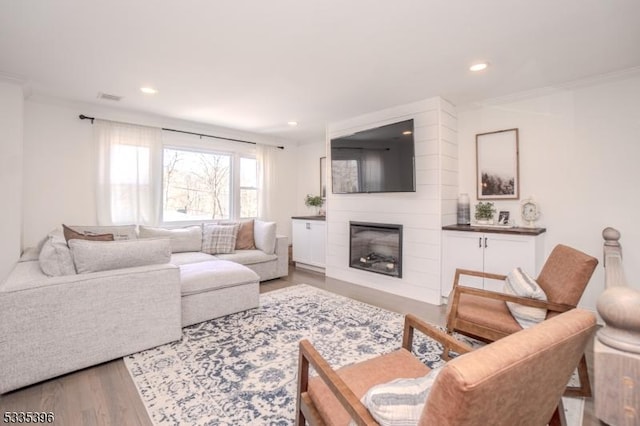 living room featuring ornamental molding, a fireplace, and hardwood / wood-style floors