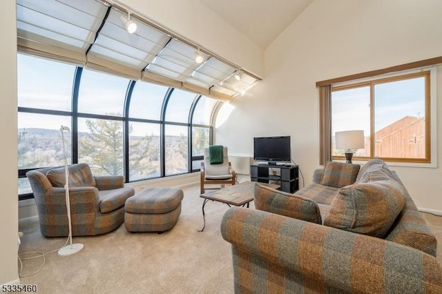 living room featuring rail lighting, vaulted ceiling, and carpet floors